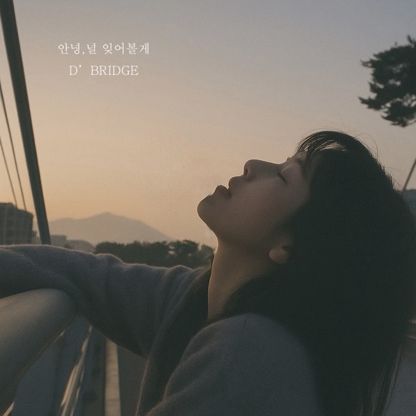D’BRIDGE 안녕, 널 잊어볼게 앨범 커버